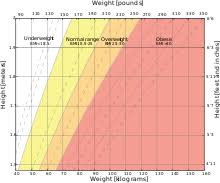 Prenatal Nutrition Wikipedia