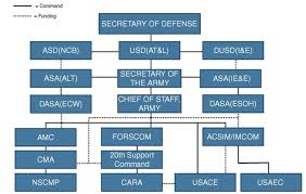 Amc Rdecom Org Chart Related Keywords Suggestions Amc