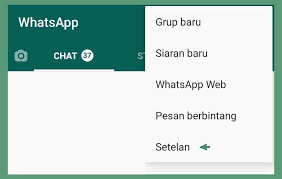 Lalu bagaimana cara agar whatsapp tidak terlihat online? Cara Agar Whatsapp Terlihat Offline Padahal Online Nafisa