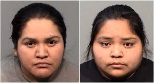 2 Yavapai County women arrested, husky found with severely injured leg