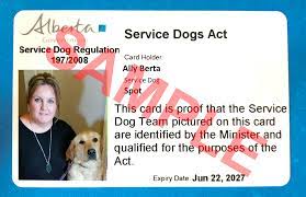 Fast shipping · register for free now Get A Service Dog Identification Card Alberta Ca