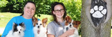 Perfect pets is a trusted platform where adopting, buying, and finding services for pets is safe, and animal welfare is the highest priority. Pet Boarding In Lykens Pa Luxemburg Pet Resort