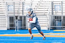 Christian Swint Football University Of Nevada Athletics