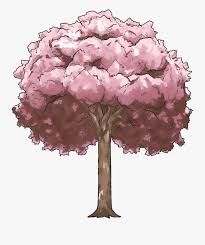 Check out amazing sakura_tree artwork on deviantart. Transparent Sakura Clipart Anime Cherry Blossom Tree Free Transparent Clipart Clipartkey