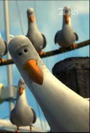 24 Questions That Can T Be Answered Finding Nemo Birds Finding Nemo Finding Nemo Mine