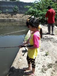 Bila kita melihat sampul buku, terdapat beberapa kutipan berisi komentar terhadap buku tersebut. Menentukan Isi Kutipan Teks Deskripsi Pelajaran Bahasa Indonesia Di Jari Kamu