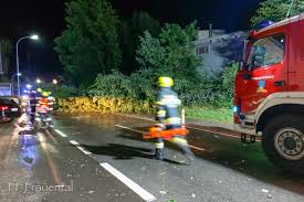 220 feuerwehreinsätze in trier durch unwetter ausgelöst. Home