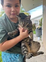 Cat eared deku what do we think 💛