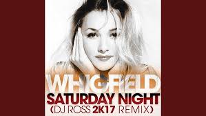 Saturday Night (DJ Ross 2K17 Remix)