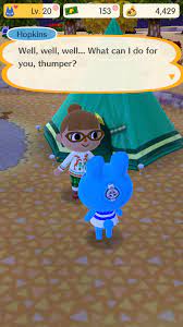 New horizons' fan theories about tom nook, k.k. What Is On The Back Of Hopkins Head Animalcrossing