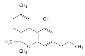 Cannabinoids Everything You Need To Know Hempika