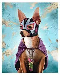 Lucha Libra Chihuahua Chihuahua Art Mexican Art Chihuahua Love