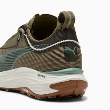 Image result for Puma 10