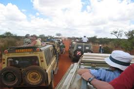 If you travel from central regions like europe, dubai, and london, then it is going to cost you much reasonably around $450 to $500. How Much Does An African Safari Cost 2021 2022 Holidays