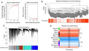 22 июн в 23:27 в huawei honor 30 9x 20 v20 10 v10 9 8 8a 8x 8c 7x. Identification Of The Association Between Hmmr Expression And Progression Of Hepatocellular Carcinoma Via Construction Of A Co Expression Network