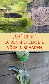 Pin Auf Garten Balkon Terrasse Fensterbank