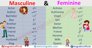 Masculine And Feminine In 2020 Masculine And Feminine List Masculine Masculine Feminine