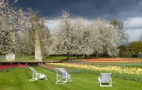 Od tanich hoteli do ofert last minute. Tulipan Im Britzer Garten Britzer Garten