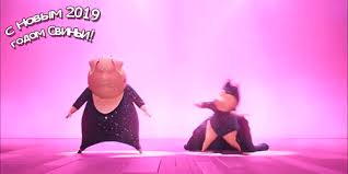 прикольные поздравления с новым годом для взрослых в прозе Https Encrypted Tbn0 Gstatic Com Images Q Tbn 3aand9gcsxdy1uxrbuweyfywvcefgs6wp Rqofkkmjlq Usqp Cau