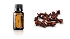 Follow us for deals, news and reviews! Clove Atherisches Ol Der Gewurznelke Dufte Welt