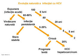 Evolutie Infectie Hepatita C