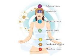 Chakra Anatomy