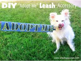 Pin On Event Diy Adopt Me Ideas For The C C A S