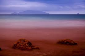 The florida red tide is caused by a dinoagellate called karenia brevis (k. Beware The Red Tide Wsj