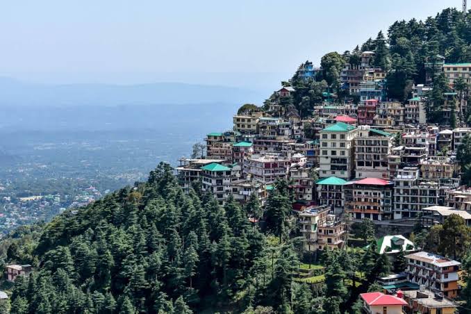 6 Joyful Weeks in Dharamshala - Here's What I Did | On My Canvas