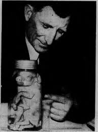 British Subs Torpedo Two Enemy Transports