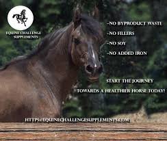 Take The Equine Challenge And Start The Journey Towards A Healthier Horse Today All Life Stages All Performance Horses Challenges