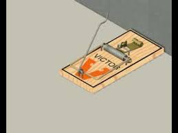 The mice cube works by trapping the mouse alive so it can be released again, back free do it yourself pest control guide. How To Set The Original Mouse Trap Youtube
