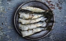 Results for trotta pesce translation from italian to english. L Alimento Del Giorno Il Pesce Azzurro Prince Fitness And Spa