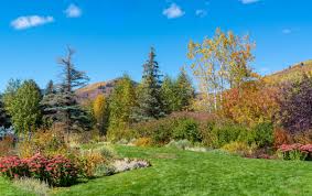 Scentlandia ® sweetspire delivers on all three! Summer Flowering Shrub Virginia Sweetspire A Great Native Plant How To Garden Advice