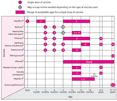 childhood vaccination schedule childrens health issues