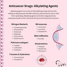 Image result for Alkylating Agent