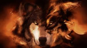 Alpha Wolf Wallpapers Top Free Alpha Wolf Backgrounds Wallpaperaccess Download 4k wallpapers ultra hd best collection. alpha wolf wallpapers top free alpha