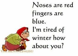 Noses Are Red Fingers Are Blue I M Tired Of Winter How About You Funny Winter Quotes Weather Quotes Funny Quotes