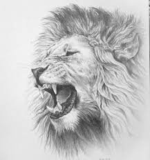 10 Wonderful Tips And Techniques For Realistic Colored Pencil Artists Ideas Drawings Pinterest Lion Sketch Roaring Lion Tattoo