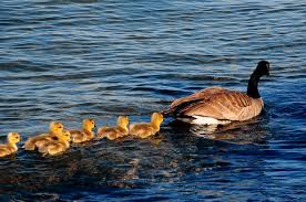 An Open Letter To Pastors A Non Mom Speaks About Mother S Day The Messy Middle