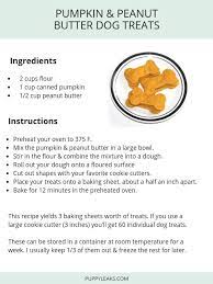 Pumpkin Peanut Butter Dog Treats Dog Biscuit Recipes Dog Treats Homemade Recipes Dog Food Recipes