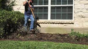 · okay, we live in a very old, very traditional, very upscale neighborhood in southern virginia. How To Remove Bushes Shrubs Easily Youtube