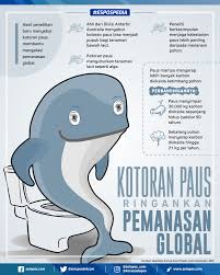 Kotoran Paus Atasi Pemanasan Global