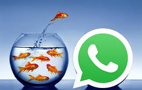 5 / 5 1 мнений. Pesce D Aprile Scherzi Da Scambiarsi Su Whatsapp