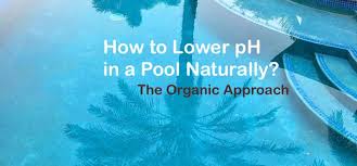 Also, you can try borax to raise your ph with little affect on the ta, so although borax does not lower ta, it won't raise it when trying to raise ph like other products will such as baking soda or soda ash. How To Lower Ph In A Pool Naturally The Organic Approach