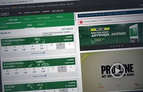 According to the vice president of the canadian gaming association, paul burns, canadians have wagered an estimated $4 billion (over ca$5 billion) annually at foreign betting sites. Ontario To Expand Online Sports Betting Including In Game And Esports