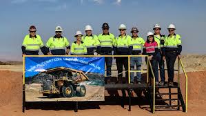 Image result for Construction Yellow 2019 Fleet