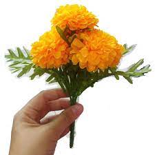 Check spelling or type a new query. Goodgoodsthailand Pack Of 2 Thai Artificial Yellow Marigold Bunch Artificial Flowers Marigold Flowers Yellow Flower Marigold Yellow Calendula Officials Silk Flower Arrangements