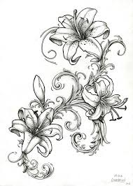 Image Result For Stargazer Lily Drawing Outline Lily Flower Tattoos Tiger Lily Tattoos Best Sleeve Tattoos