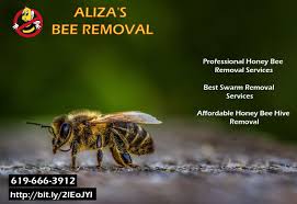 In fact, it can be quite dangerous and difficult to do properly. Free Bee Removal Las Vegas Guide At En Mdg Sdg3d Undp Org